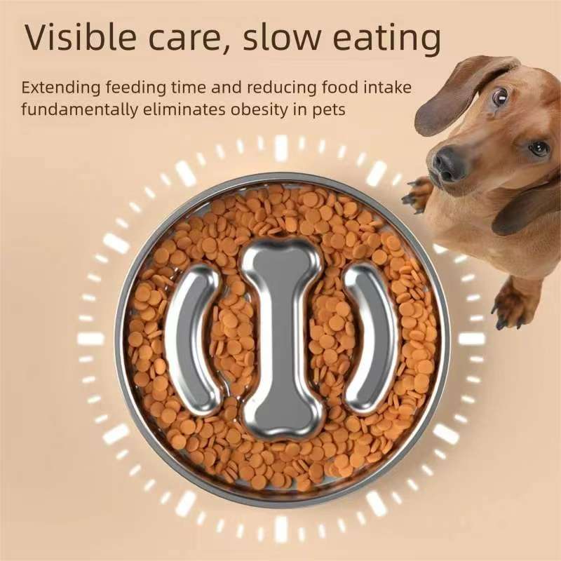Royal Canin Food Medium - Puzzle Bowl Slow Feeder for Dogs,