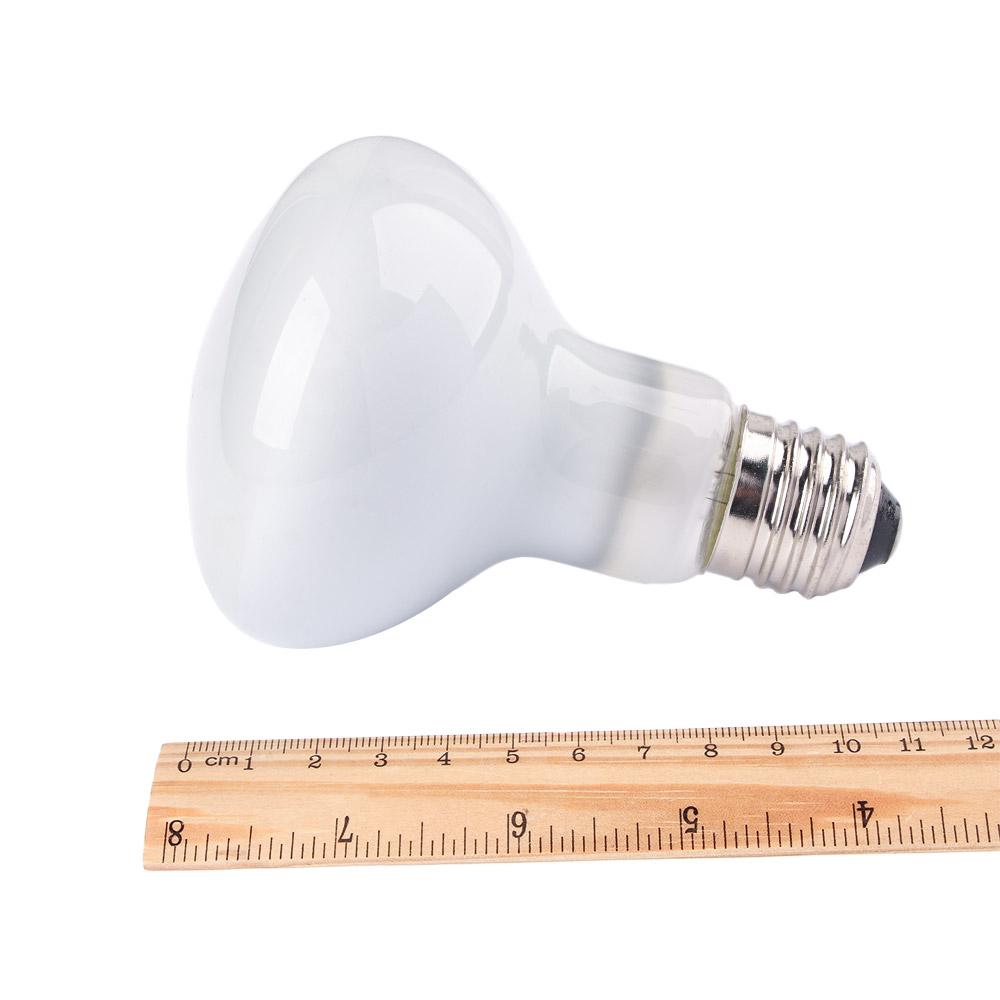 Lizard Heater Heat Lamp UVA Li - огляд і ціна Basking Bulb Halogen