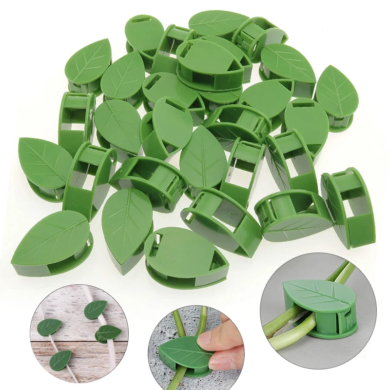 1-50Pcs invisible plant wall c - огляд і ціна Vine Climbing Plastic