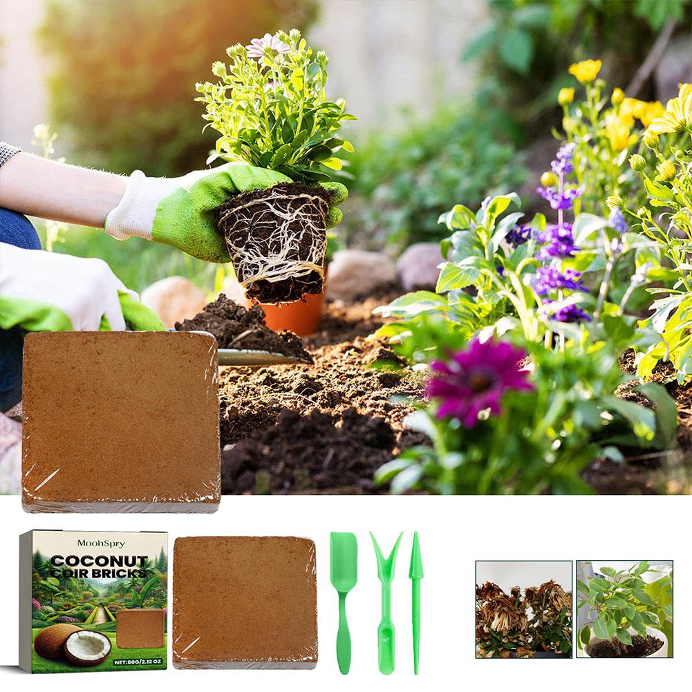 Reptile Coconut Soil Coir Pres - огляд і ціна Substrate Coconut Fiber