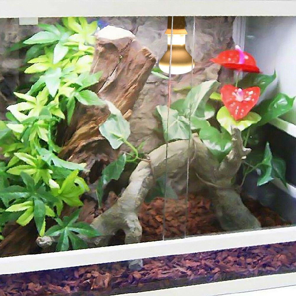 Lizard Temperature Controller  - огляд і ціна Basking Bulb Halogen