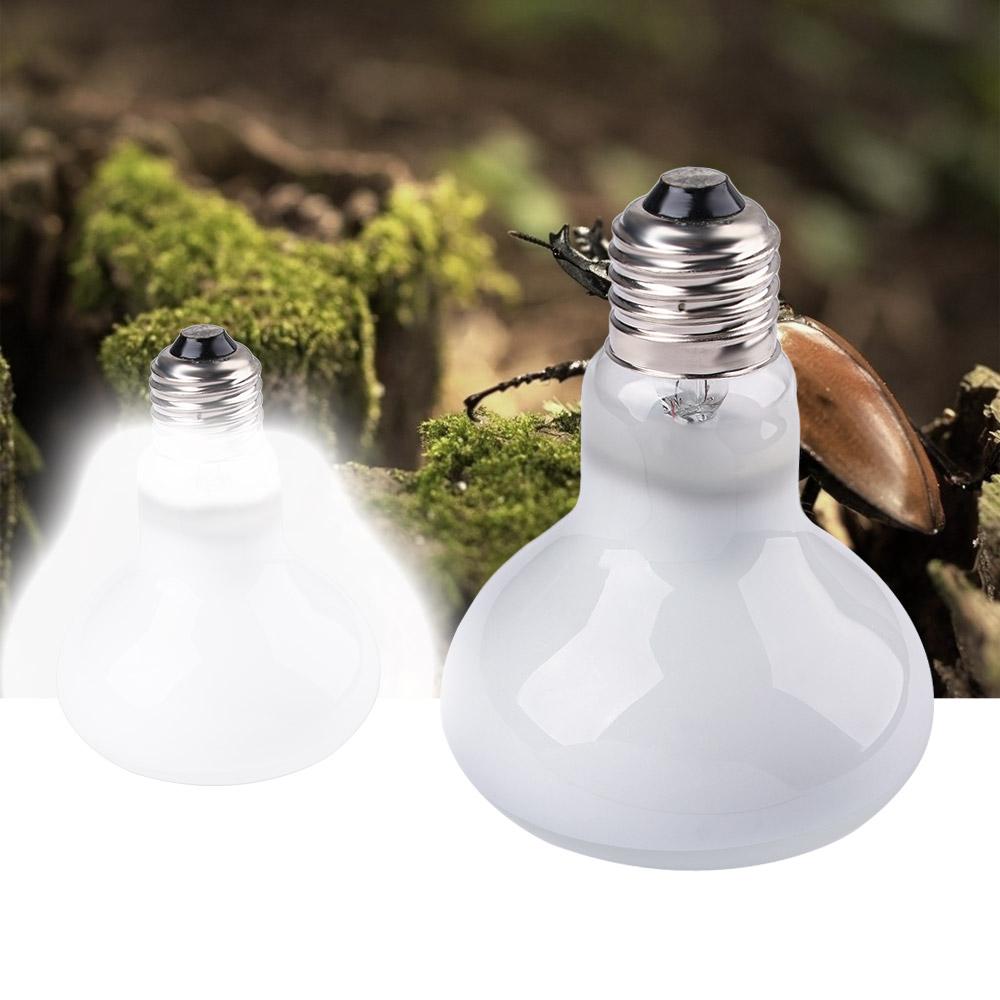 Amphibians Heater Heat Lamp UV - огляд і ціна Basking Bulb Halogen