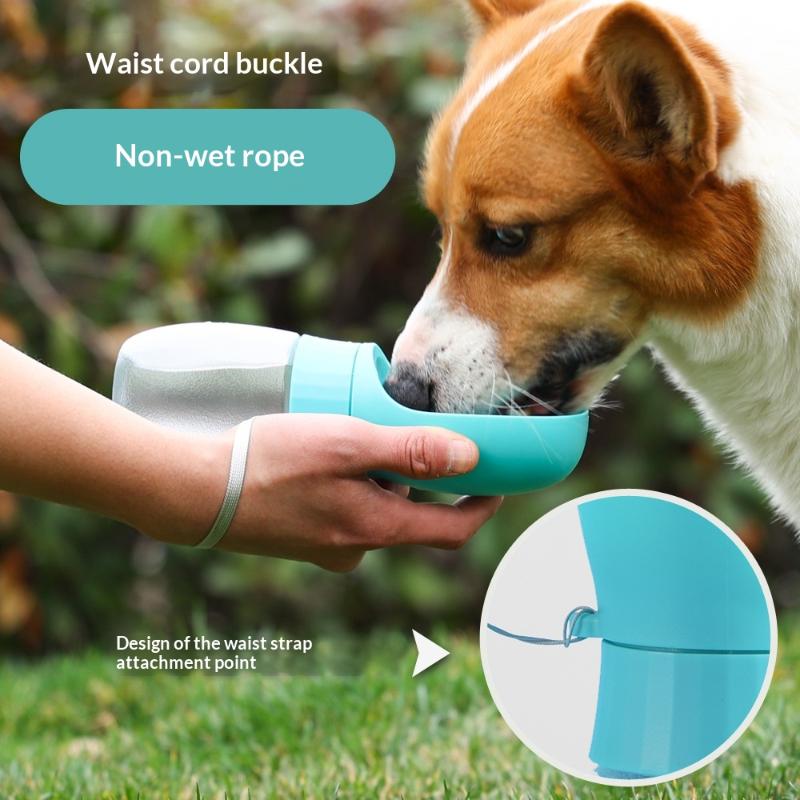500ml Big Dog Water Bottle Por - огляд і ціна Royal Canin Food Medium