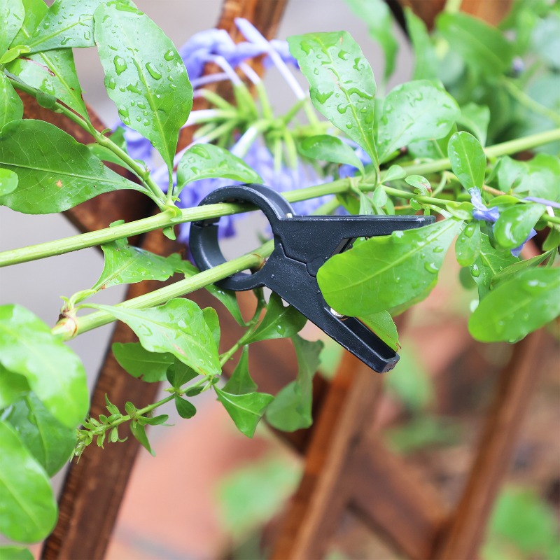 Newly 100/10pcs Plant Support  - огляд і ціна Vine Climbing Plastic