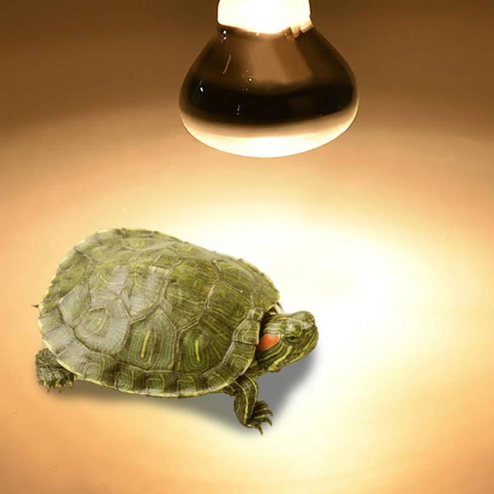 Turtle Temperature Controller  - огляд і ціна Basking Bulb Halogen