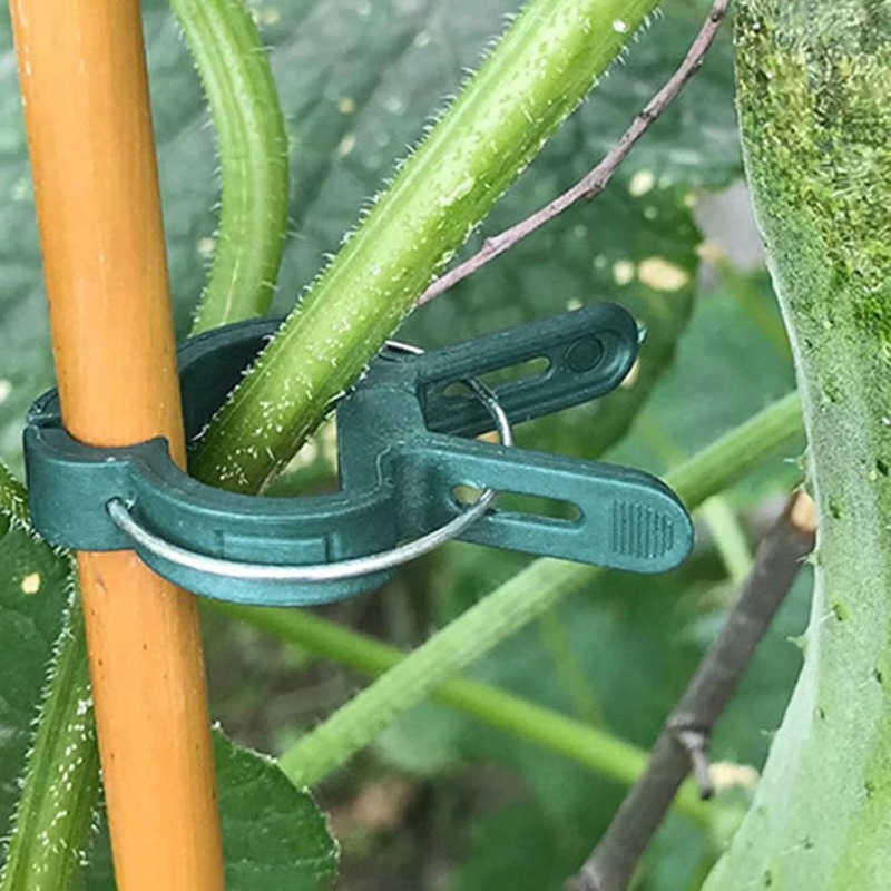 Plant Fixed Clips Reusable Gar - огляд і ціна Vine Climbing Plastic
