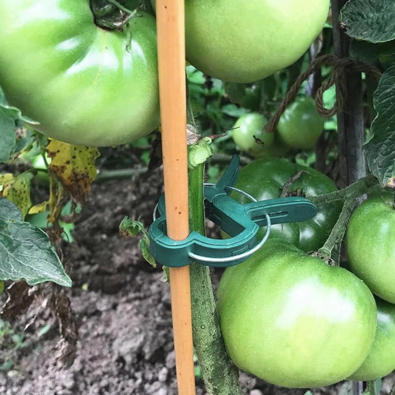 Plant Fixed Clips Reusable Gar - огляд і ціна Vine Climbing Plastic