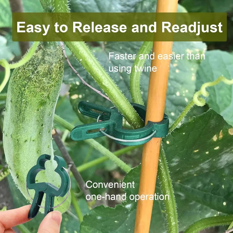 Plant Fixed Clips Reusable Gar - огляд і ціна Vine Climbing Plastic