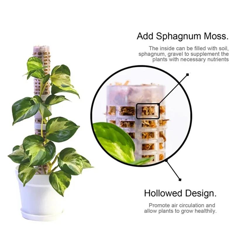 Plant Climbing Frame Plant Tre - огляд і ціна Vine Climbing Plastic