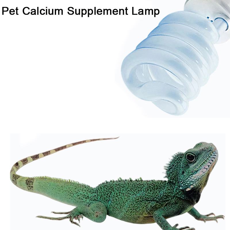 E27 13W/26W Reptile Uvb Lamp   - огляд і ціна Calcium Powder Reptile