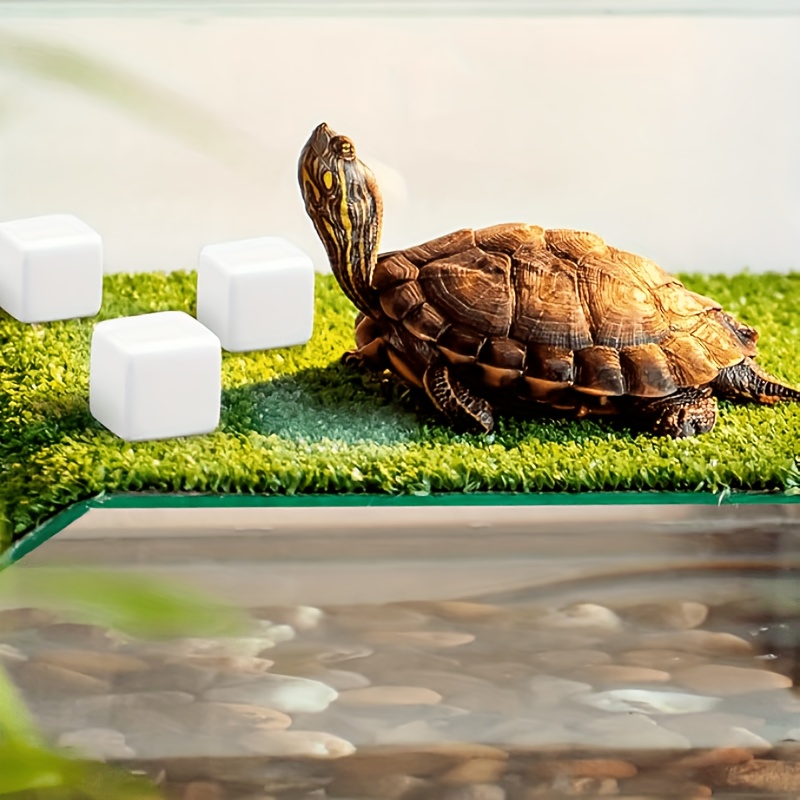 6Pcs Fish Tank Calcium Block M - огляд і ціна Calcium Powder Reptile